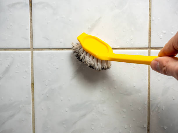 Best Affordable Mold Removal  in Ballard, UT