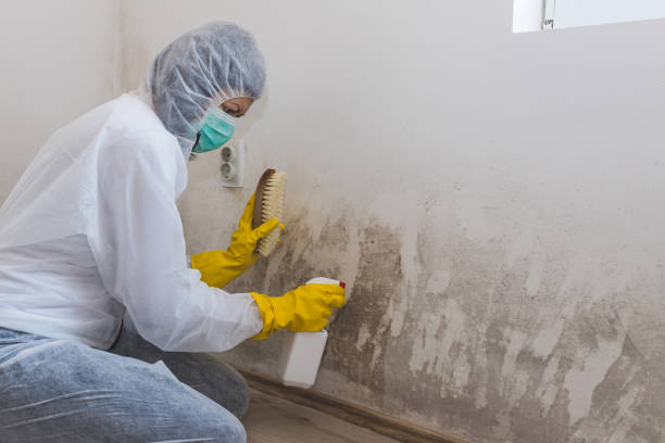Best Crawl Space Mold Removal  in Ballard, UT