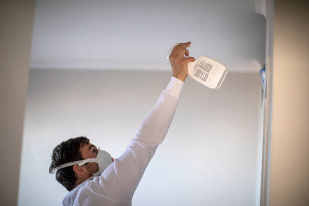 Best Commercial Mold Removal  in Ballard, UT