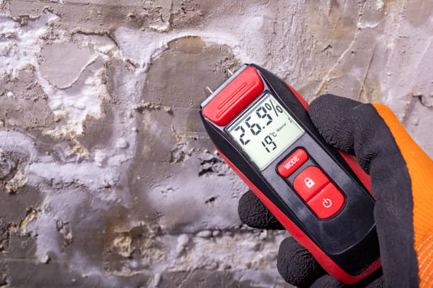 Office Mold Removal Services in Ballard, UT
