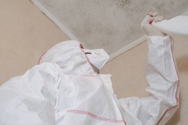 Crawl Space Mold Removal in Ballard, UT